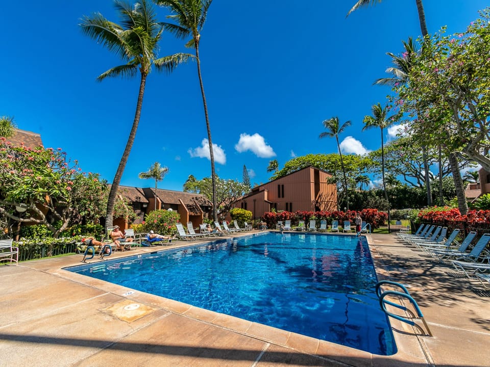 Tropical paradise surrounds your resort pool with swaying palms, vibrant flowers, and loungers where you can soak up the island sun under clear blue skies.