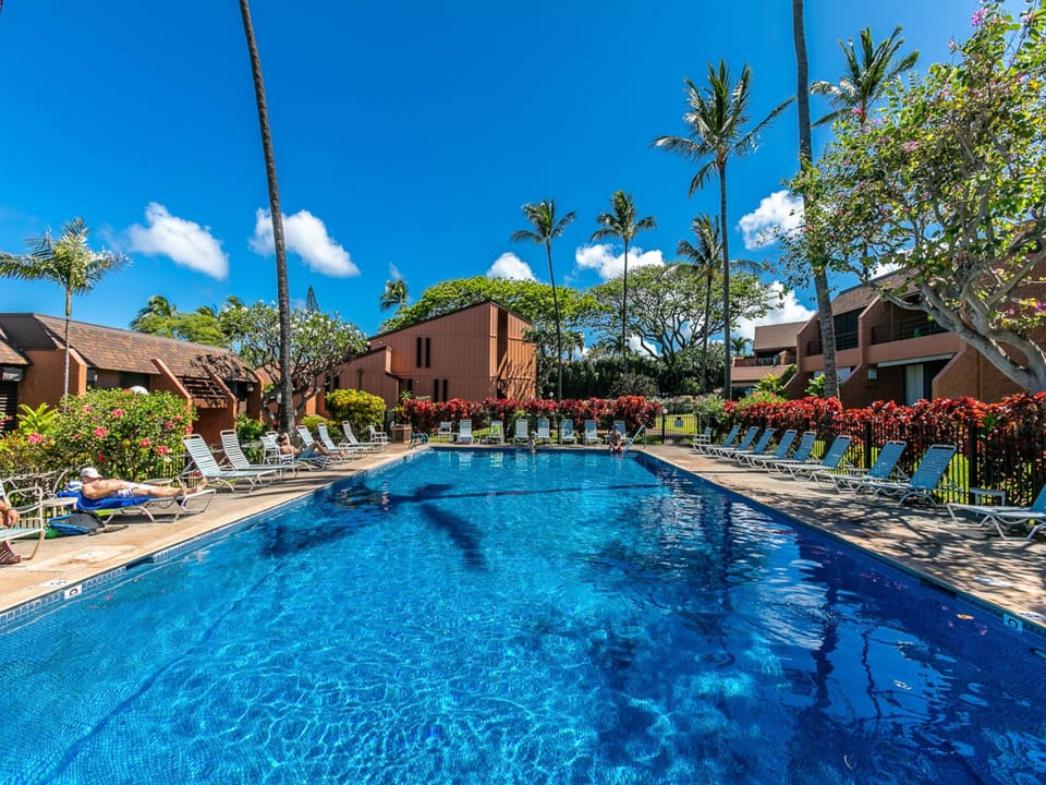 Picture yourself unwinding poolside beneath brilliant blue skies.