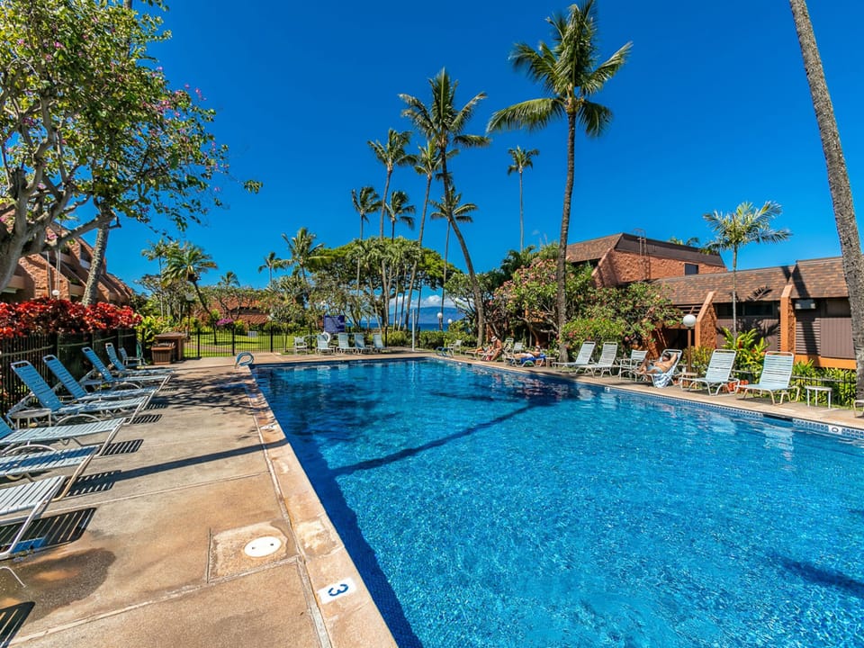 A sparkling pool nestled among swaying palms and tropical greenery, with oceanfront views just beyond. Your perfect spot to unwind under brilliant island skies.