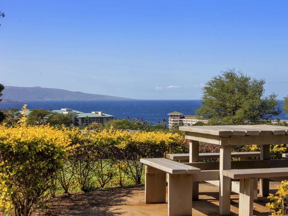 Picnic with a view!