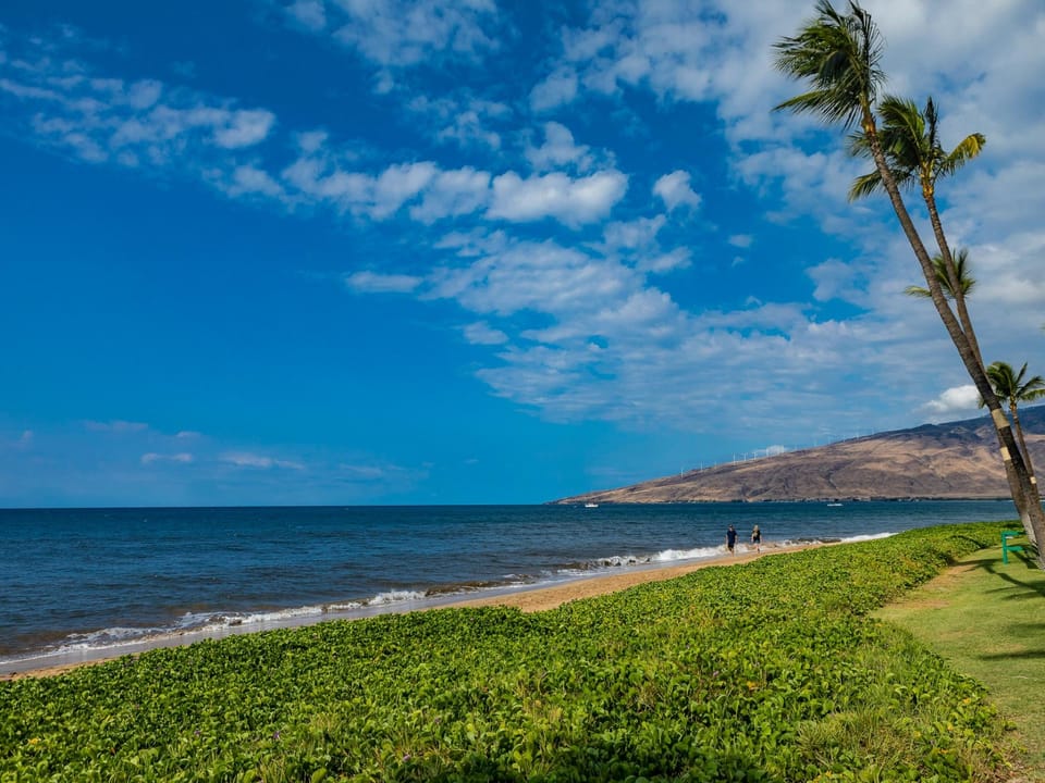 Perfect White Sandy Beach for Walking & Whale Watching