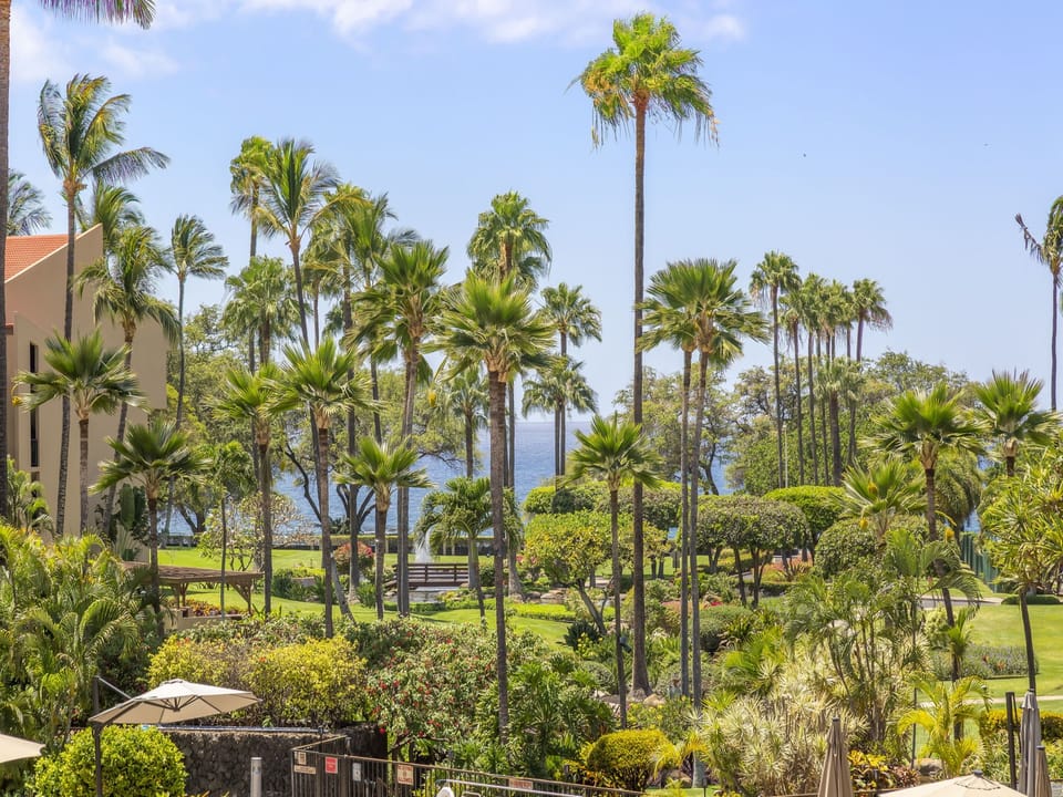 Lush tropical palms frame manicured lawns stretching toward sparkling ocean waters, creating a serene island paradise setting for your stay.