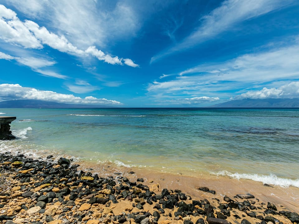 Seas the Day!