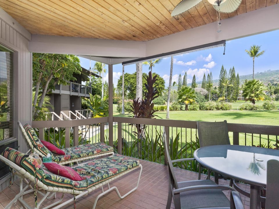 View from lanai