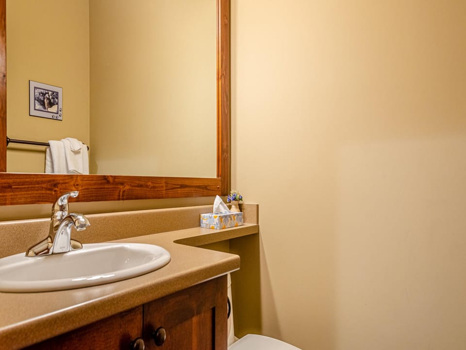Sink Faucet