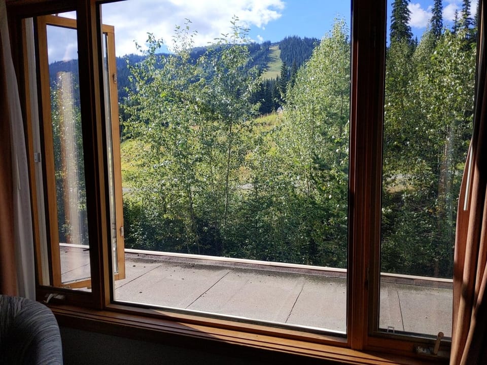 Window