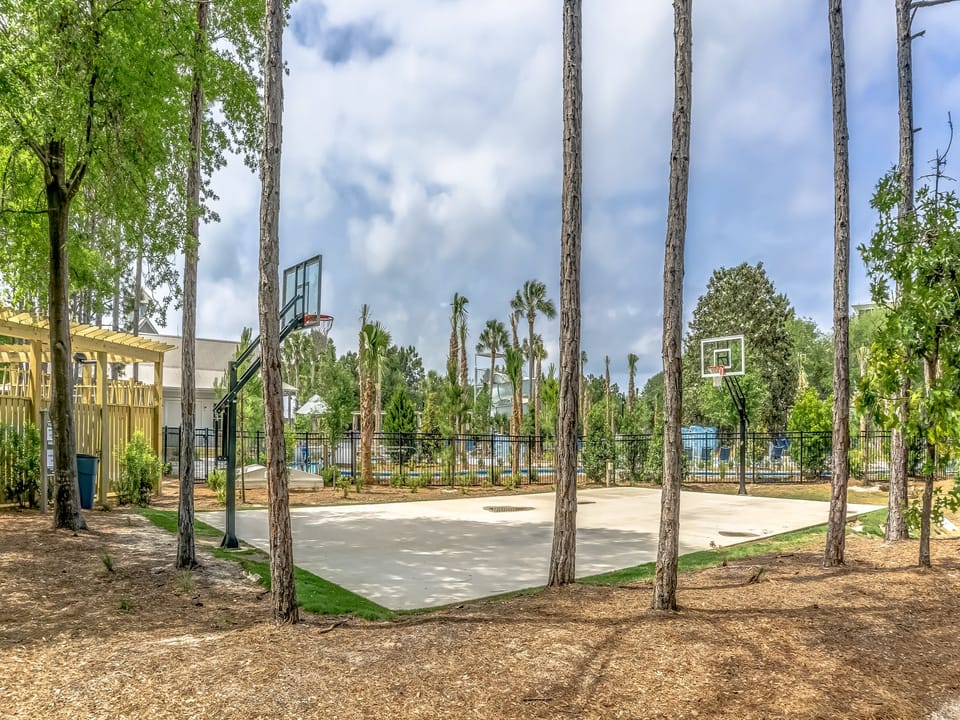 Basektball Court