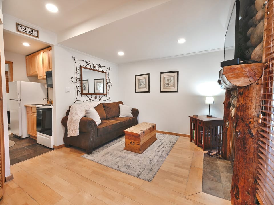 Bright open living area, suede brown sofa sleeper couch, wooden chest coffee table and grey area rug