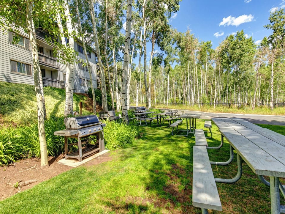 Snow Flower BBQ with 5 picnic table and 2 large gas grills