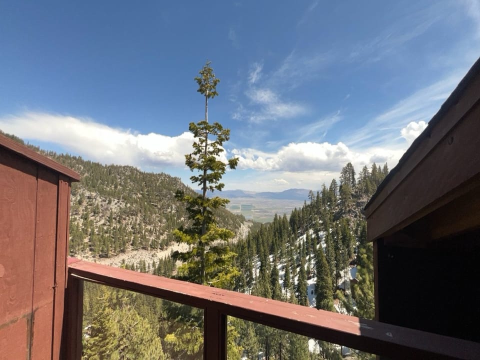 Balcony Views