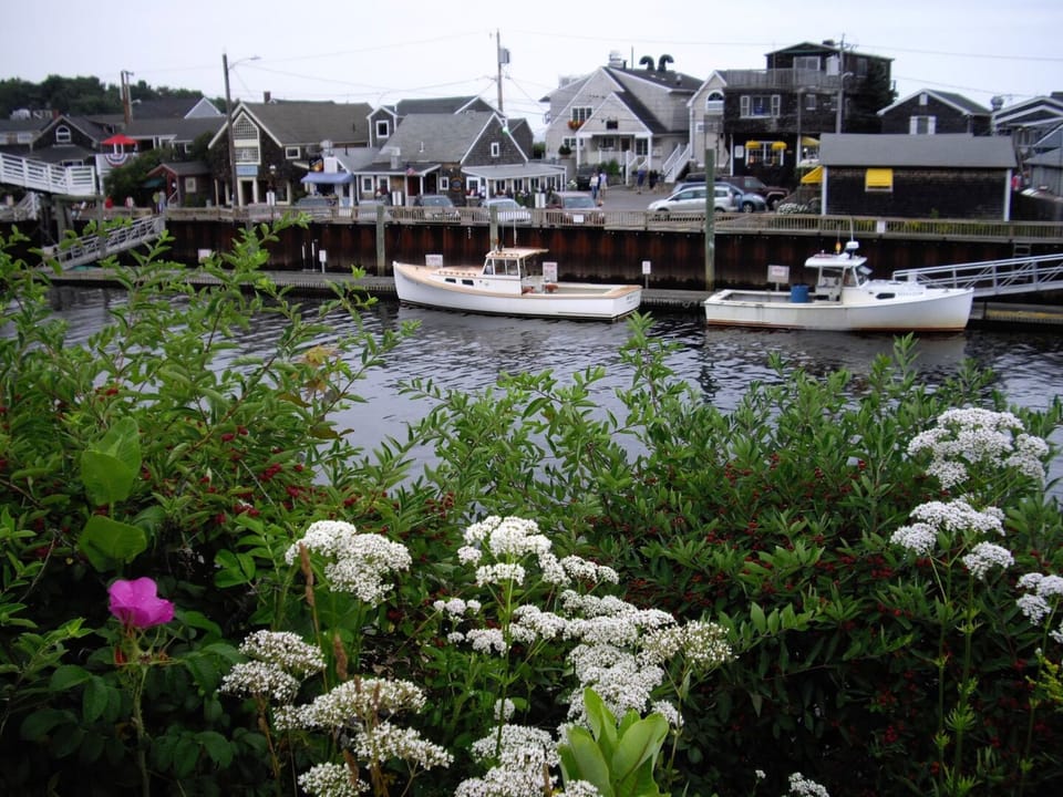 Cove area