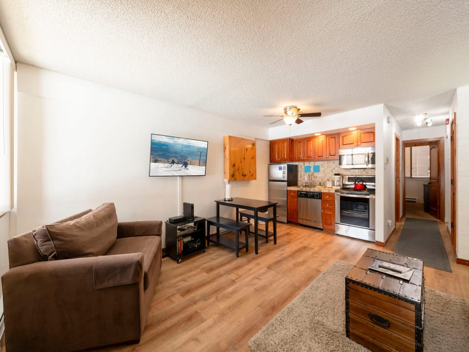Park Avenue 1Bdrm/1Bathrm Silver - living room