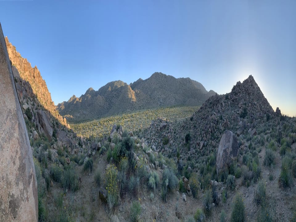 Nature