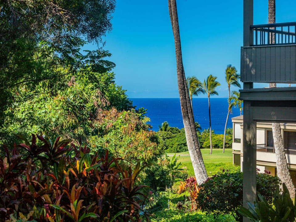 Enjoy peeks of sunsets nestled in your private outdoor oasis