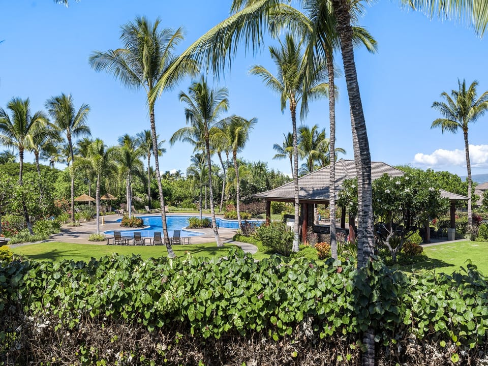 Lanai view
