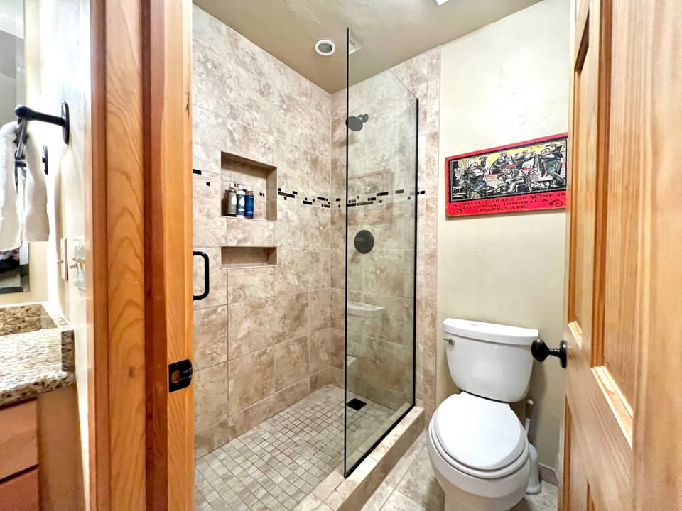 Newly renovated Bathroom with rain shower.