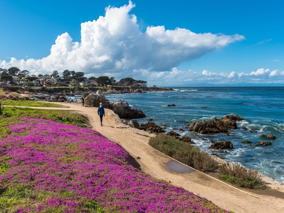 Pacific Grove / Recreation Trail