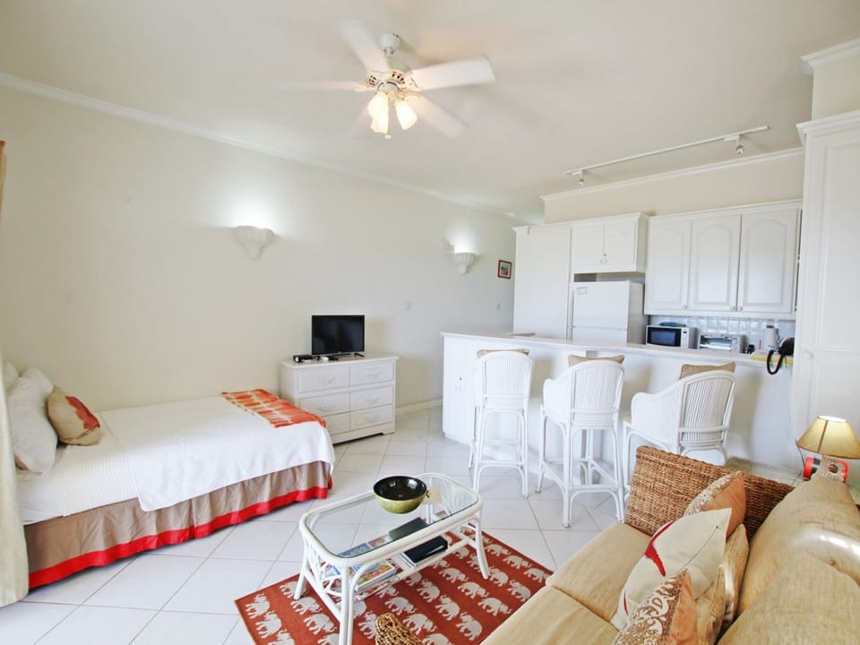 The open plan bedroom and living space