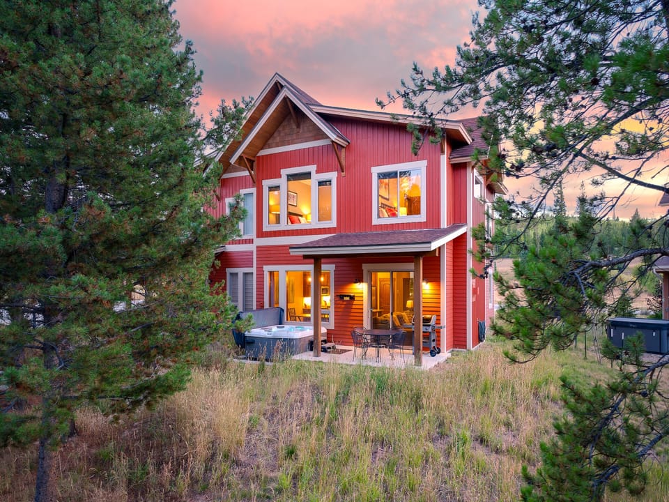 Wooded area out the back door