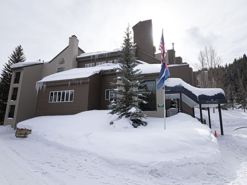 Iron Horse in Winter