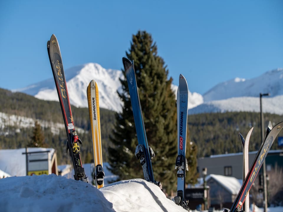 A row of skis are stuck upright in a snowbank with a snowy mountain and evergreen trees in the background on a clear, sunny day.