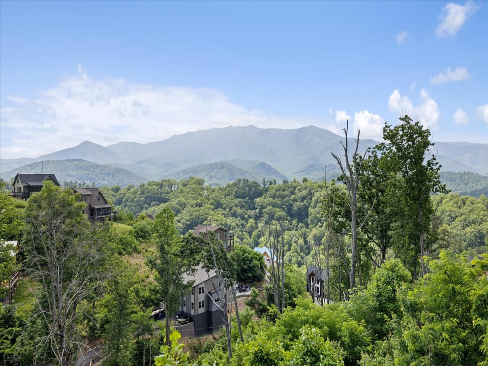 Vegetation