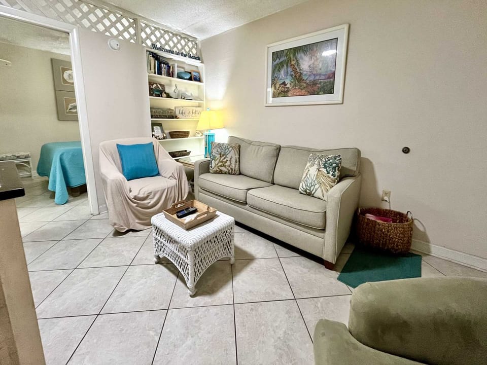 The living room seating and sleeper sofa.
