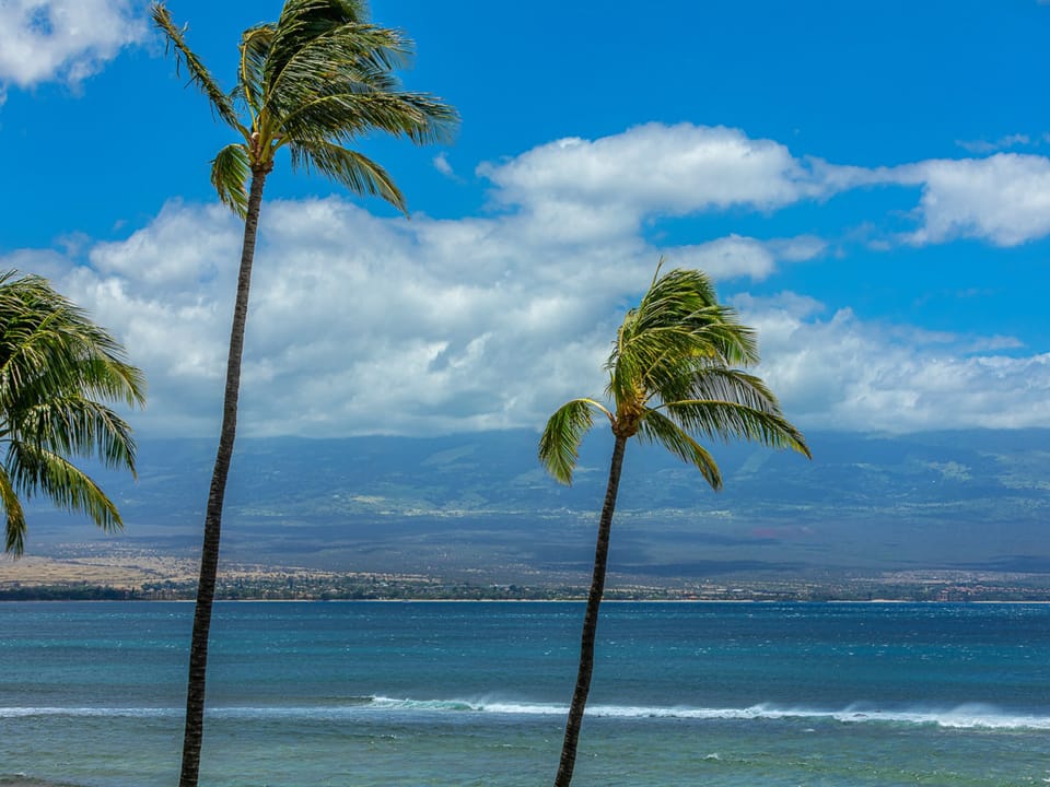 Close up view from the patio