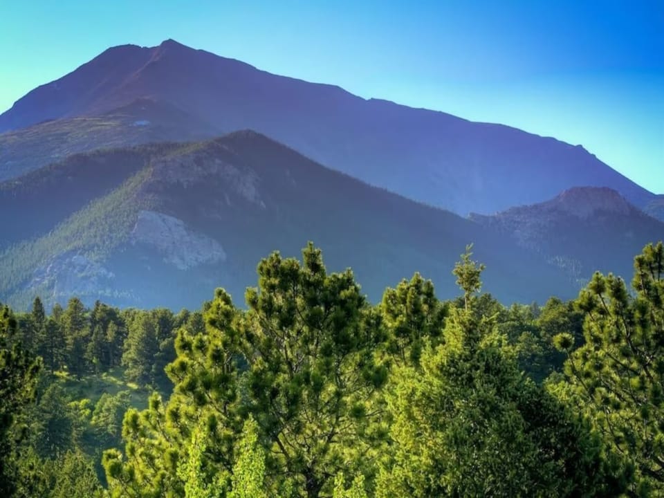A mountain landscape with a green forest in the foreground and a large mountain in the background under a clear blue sky.