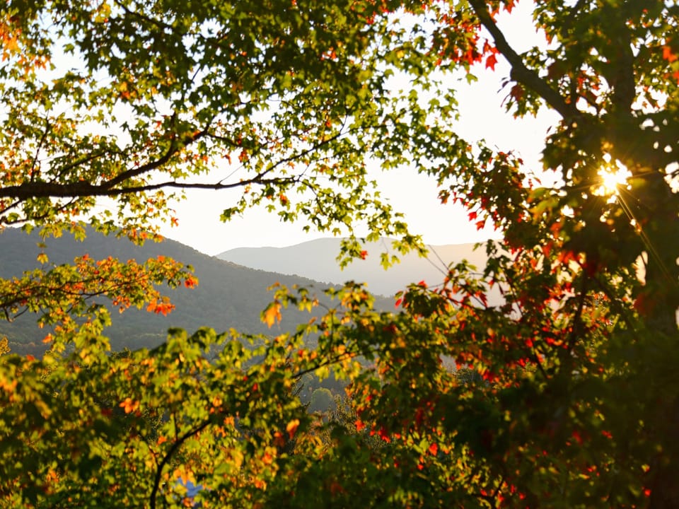 Sunlight filters through the branches of trees with green and red leaves, framing a distant view of rolling hills under a clear sky.