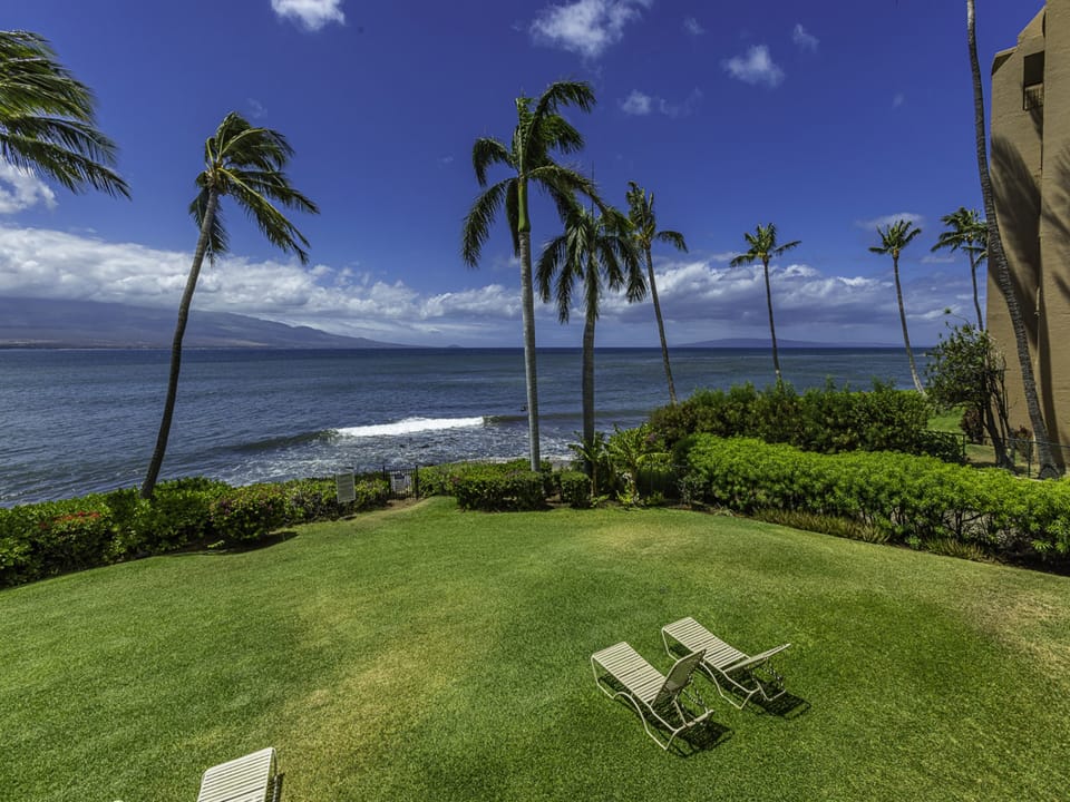 Relax to the sound of the ocean