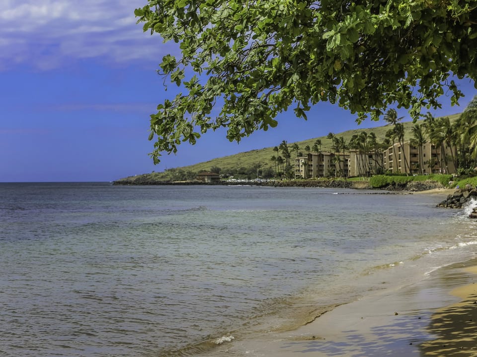 Miles of sandy Maui beaches to enjoy!