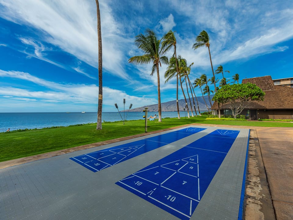 Shuffleboard