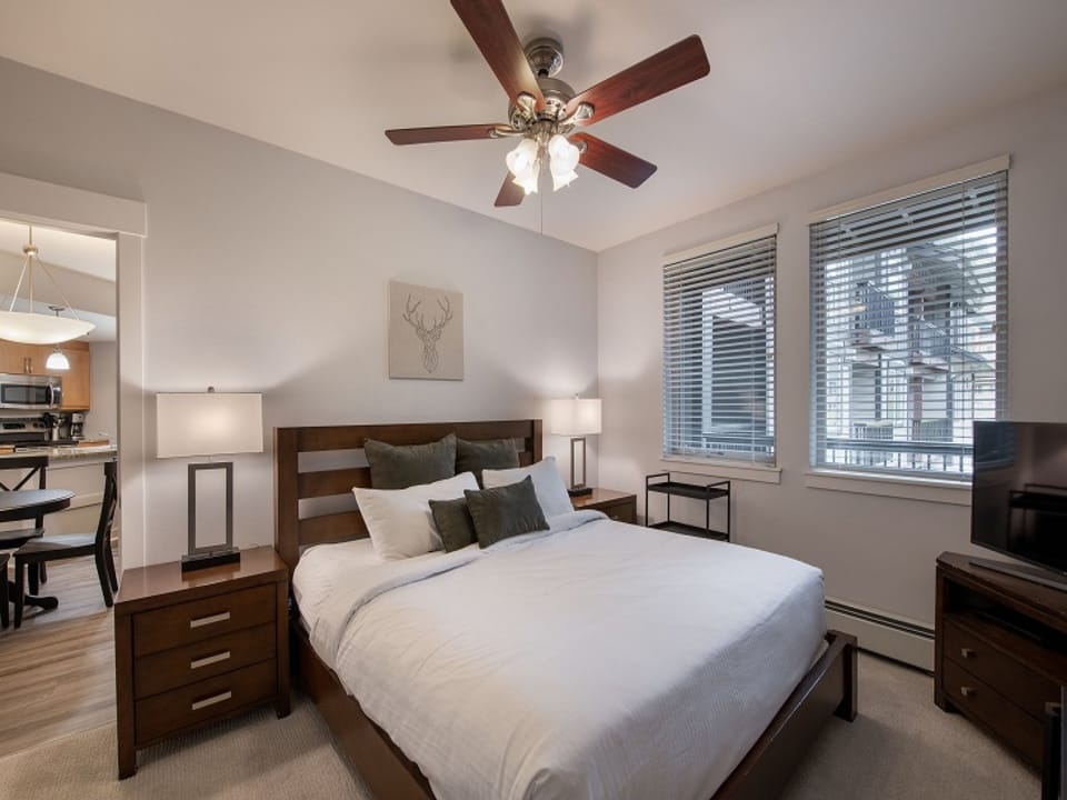 Ceiling Fan