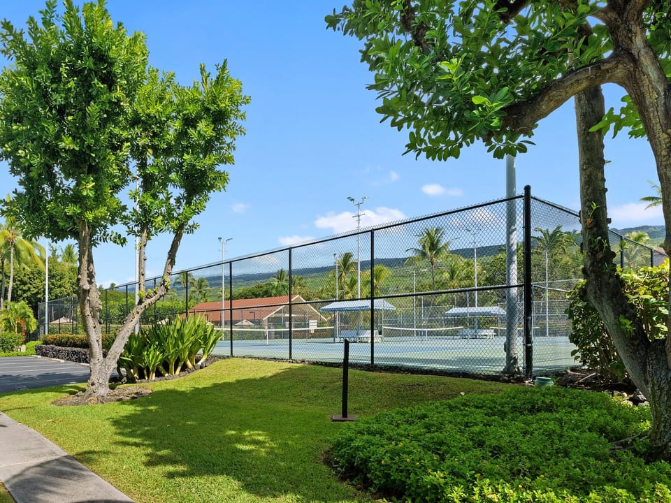 Lets play some pickle ball!