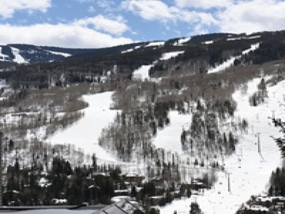 Picture yourself gliding down pristine powder slopes surrounded by snow-dusted evergreens and dramatic mountain peaks. The crisp winter air fills your lungs as you carve through this alpine paradise.