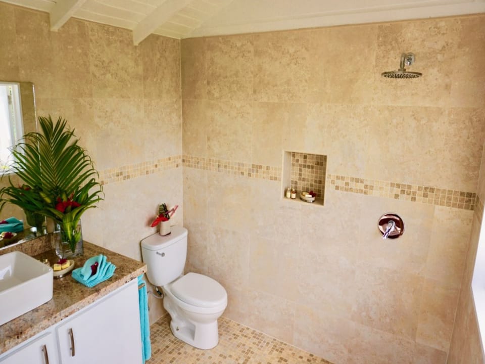 Modern cottage bathroom