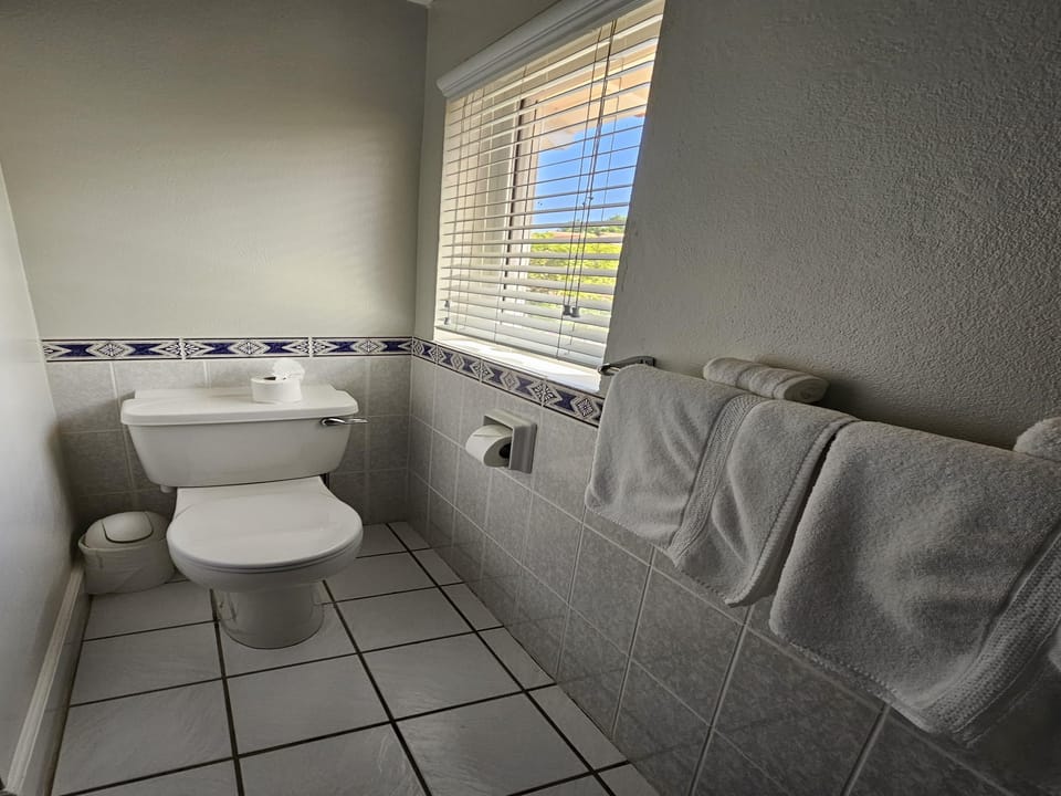 Primary en-suite bathroom