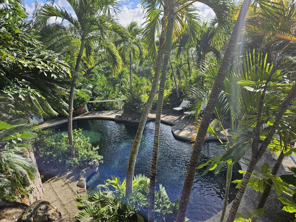 Vegetation