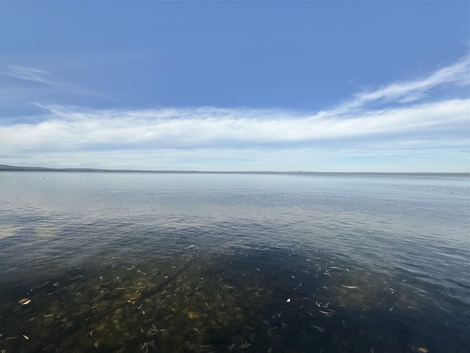 Nature