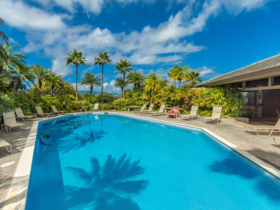 Dive into your private tropical oasis. Crystal-clear waters invite you to cool off under swaying palms, with endless sunshine and mountain breezes creating your perfect poolside escape.