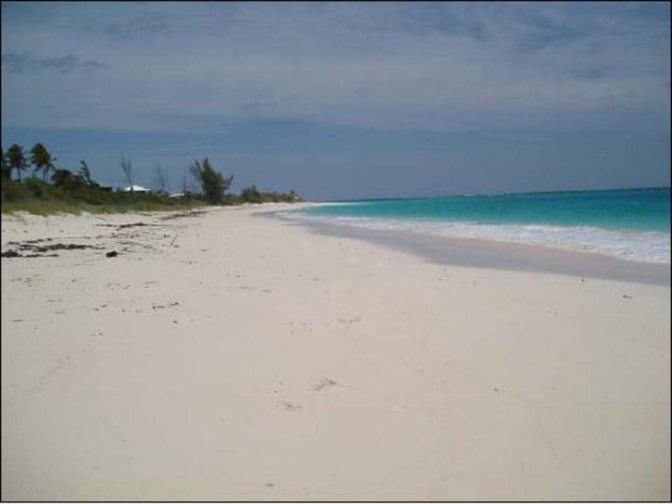 Beach facing north