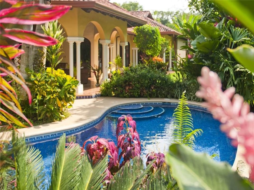 Pool & Garden View