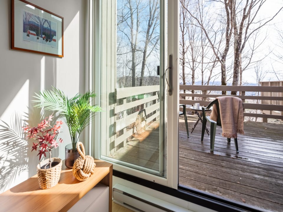 View of a sunlit room with a potted plant and framed picture, looking out through a sliding glass door to a wooden deck with chairs and a draped blanket, surrounded by leafless trees.