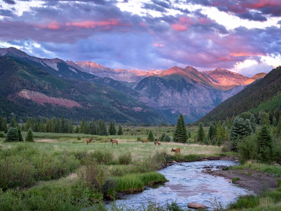Stunning alpine glow in the Telluride Valley. Sunsets in Telluride are one for the books.