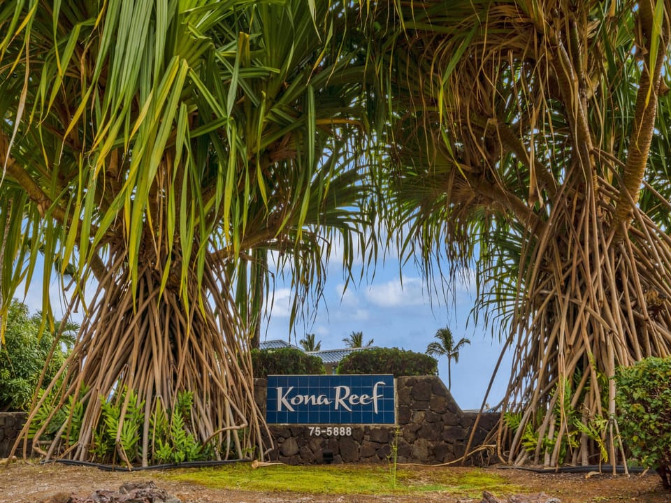 Kona Reef View from Alii Drive