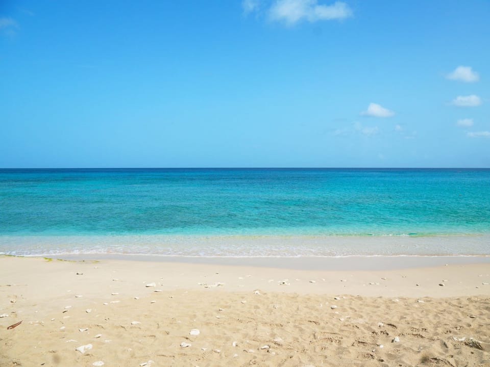 Located on the prestigious West Coast of Barbados. This exclusive membership grants you full access to beach amenities