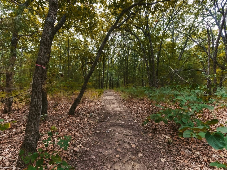 Path