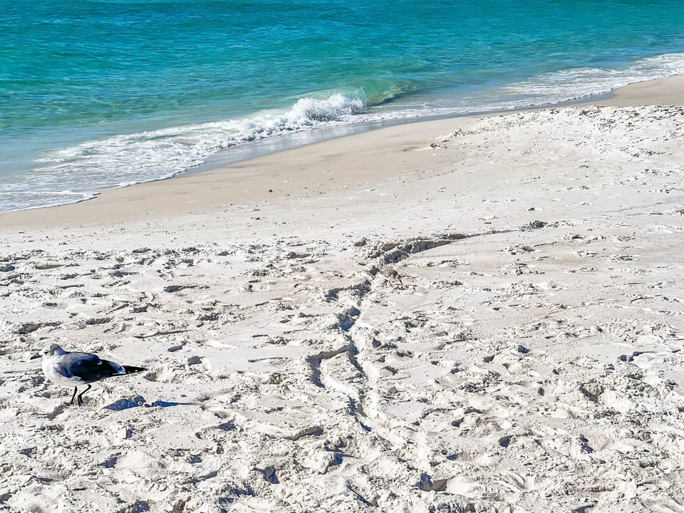 Emerald Coast Beaches