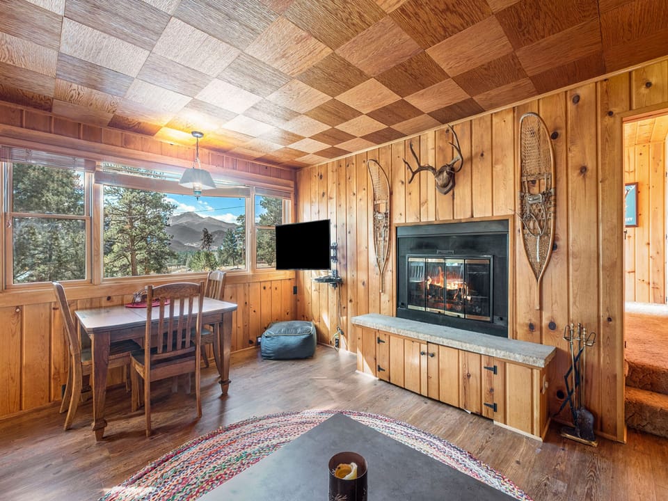 Chasm Cabin - Chasm Cabin Estes Park, Living area with checkered ceilings featuring a flat screen TV.